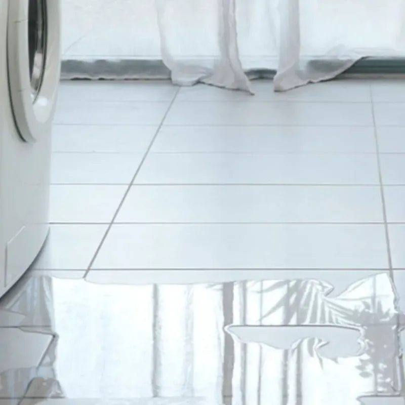 Appliance Leak Cleanup in Lamar County, TX
