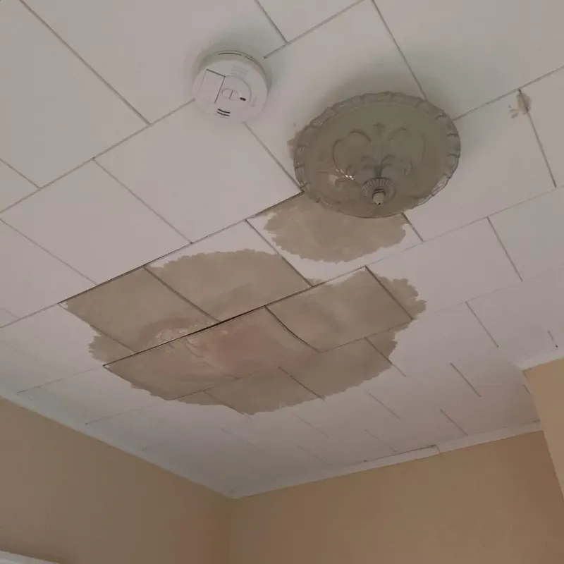 Ceiling Water Damage Repair in Lamar County, TX