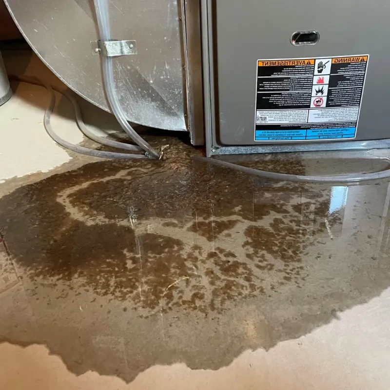 Pipe Burst and Leak Restoration in Lamar County, TX