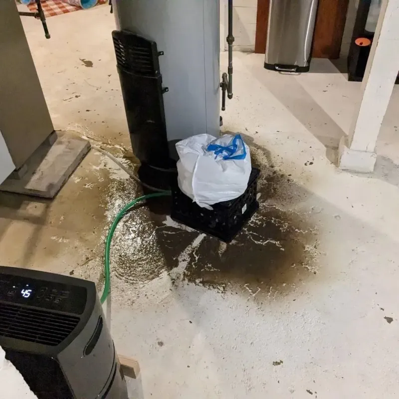 Sewage Backup Cleanup Service in Lamar County, TX